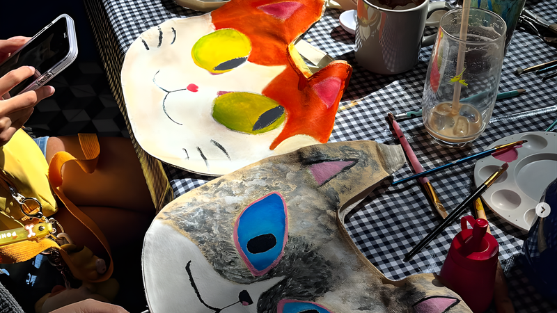 Color Transformation with Cat Bag (3)